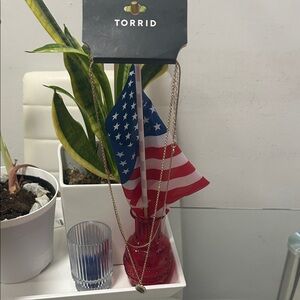 Torrid Red Vase with Gold Chain Accent